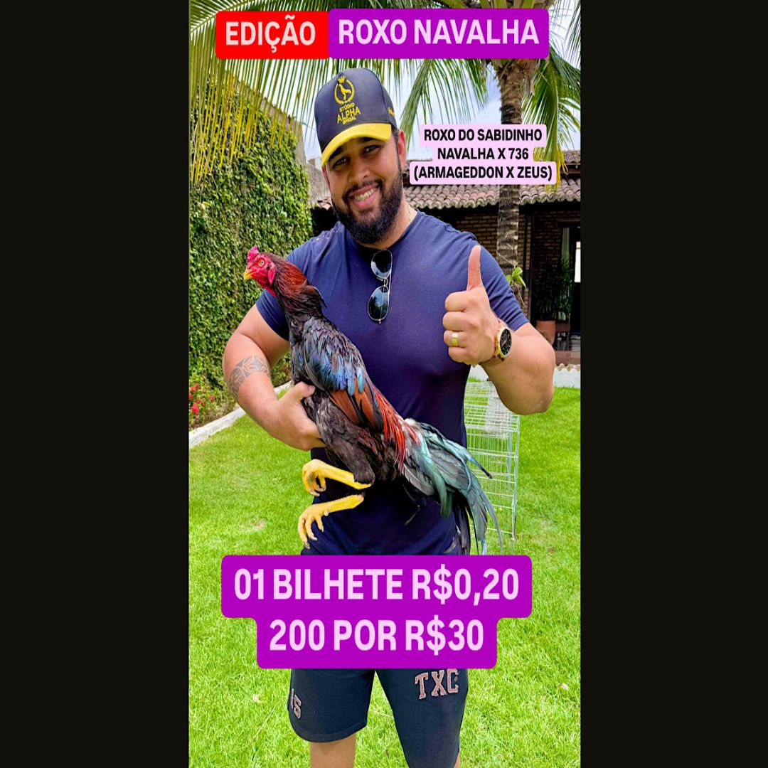 EDICAO ROXO/NAVALHA