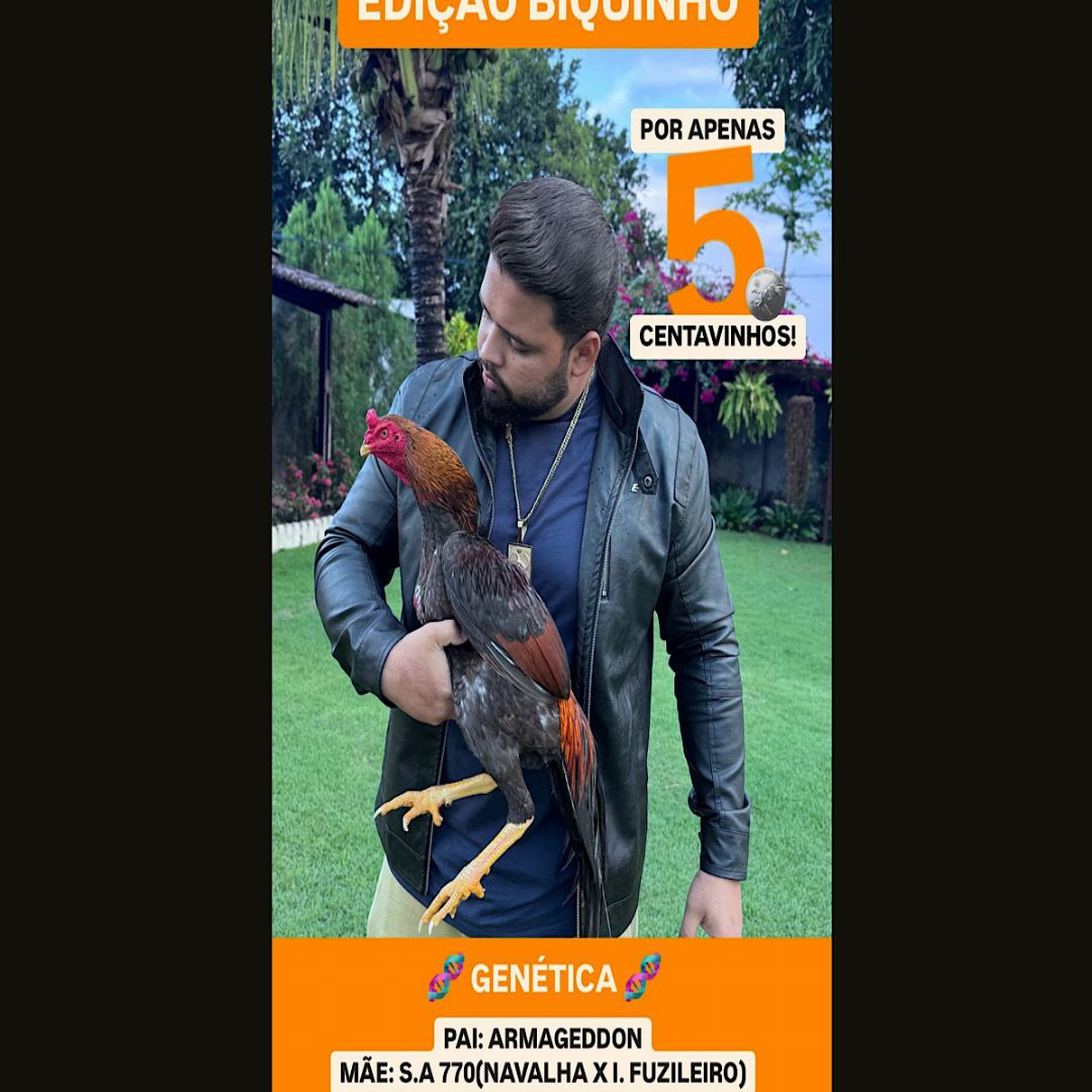 AGRADECIMENTO ESPECIAL