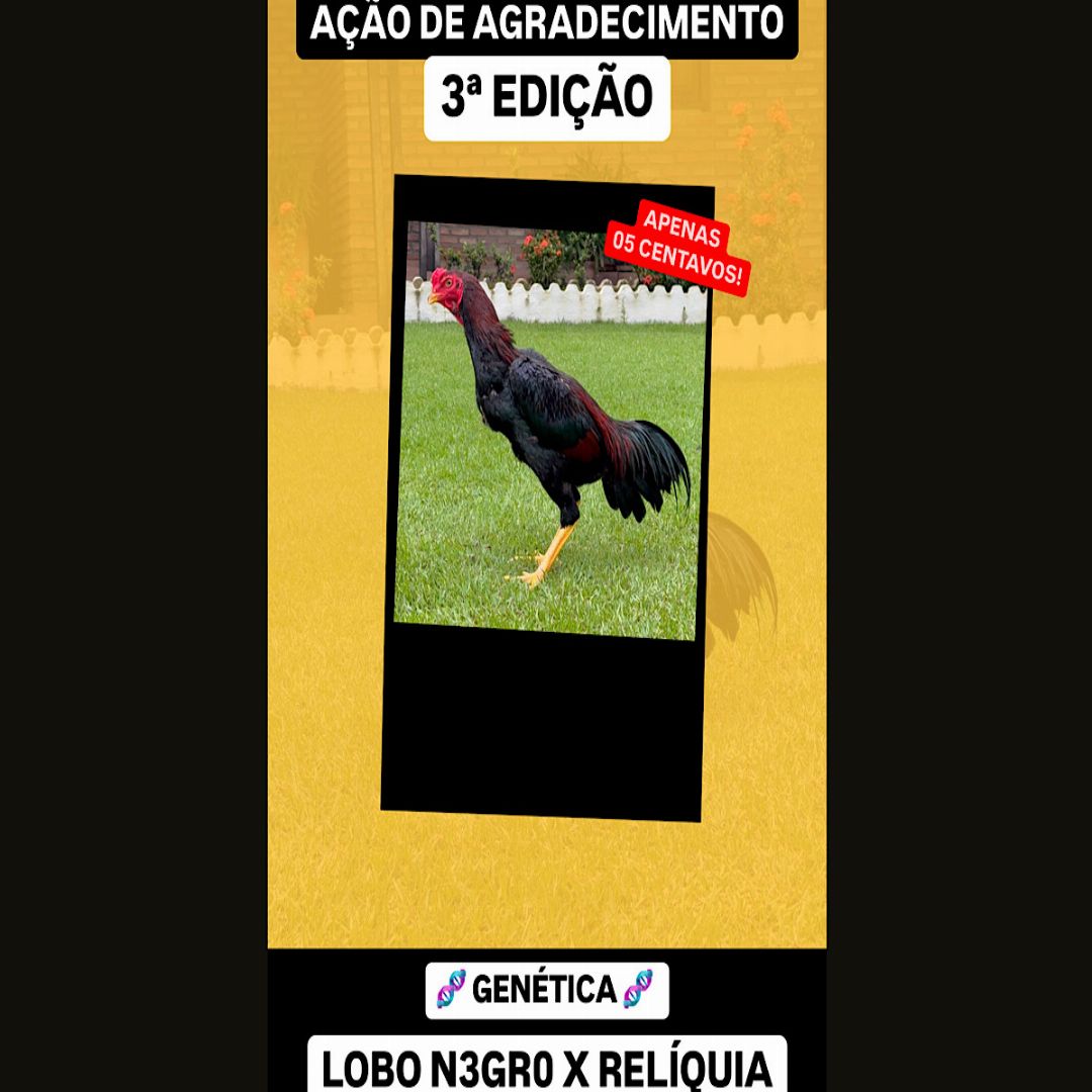 AGRADECIMENTO 3