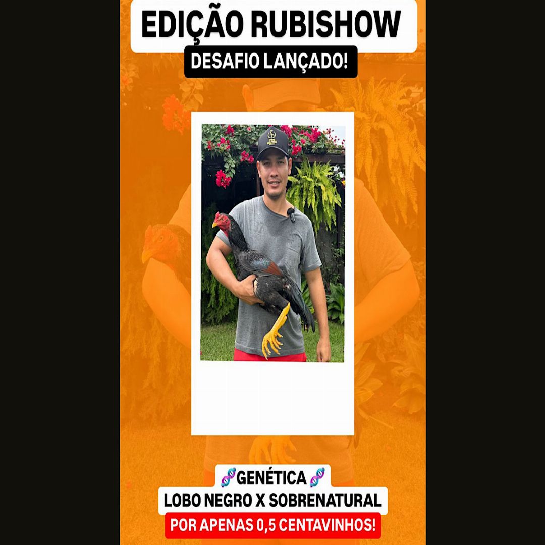 EDIÇÃO RUBSHOW