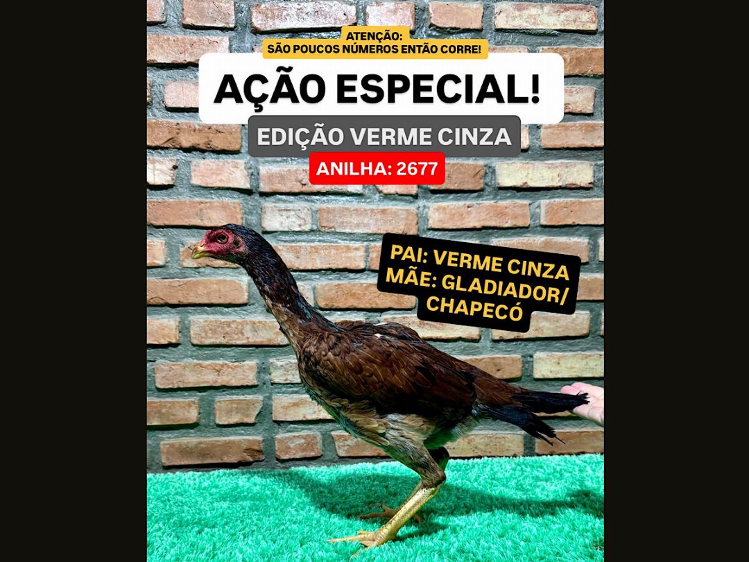 Filha do verme cinza