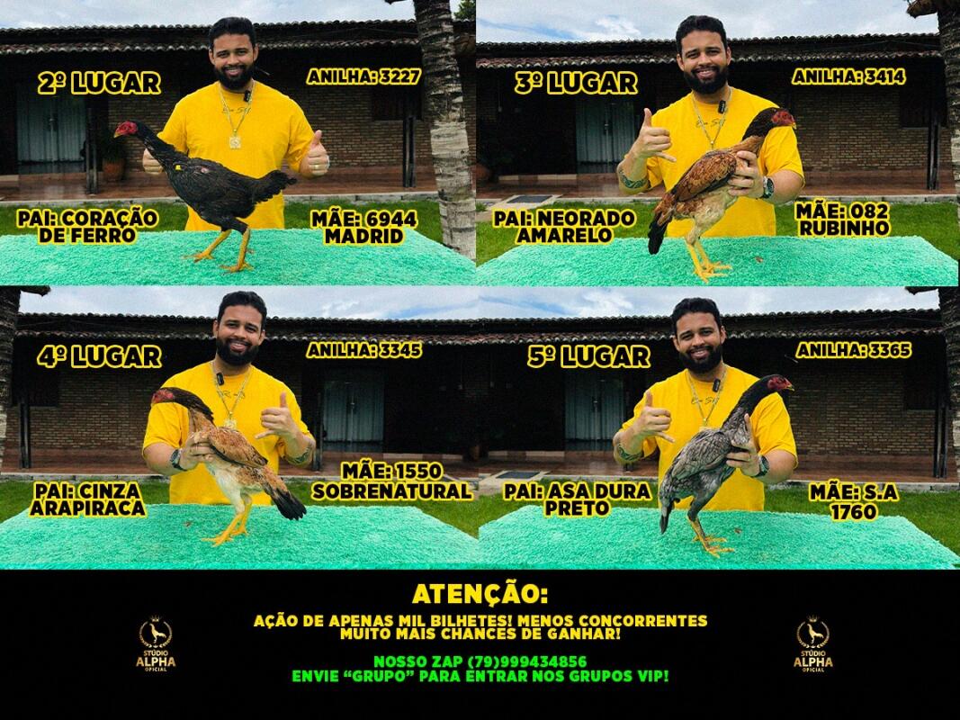 AGRADECIMENTO ESPECIAL