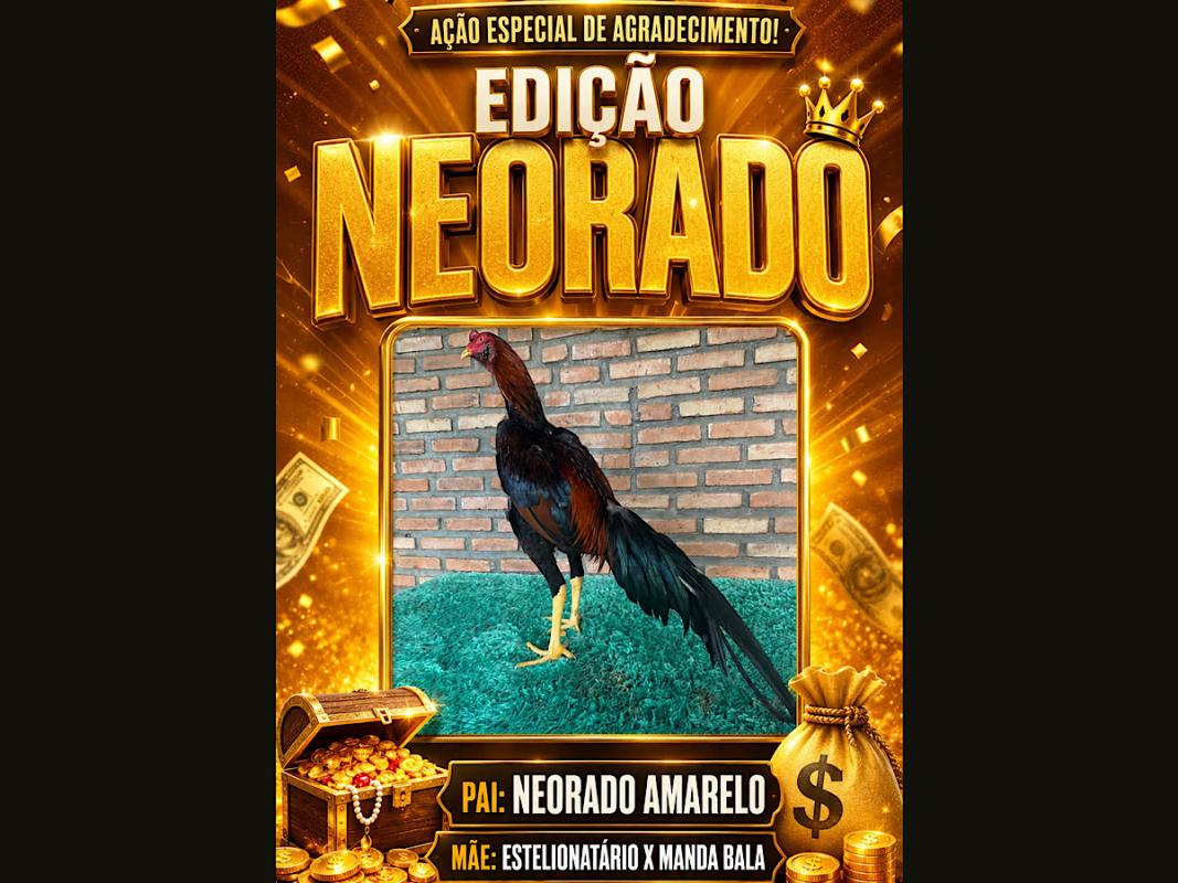 Ação agradecimento segundou