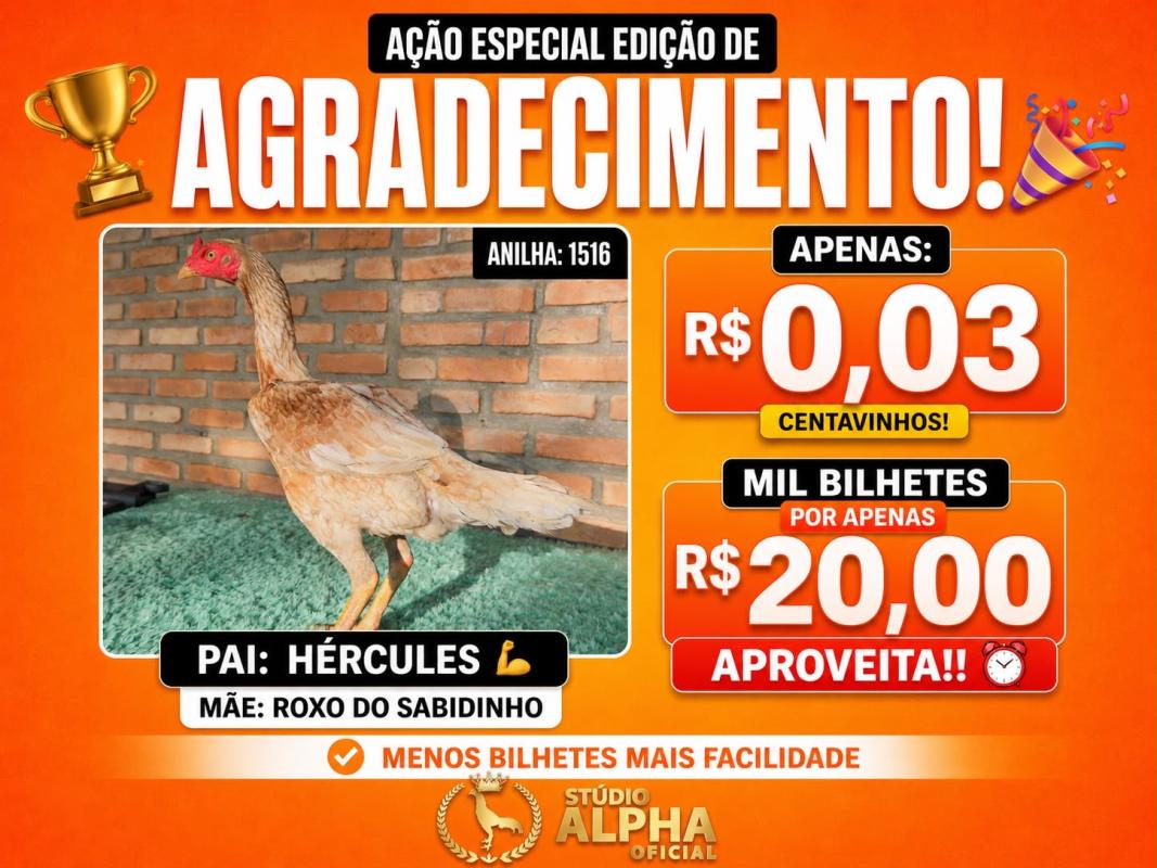 EDICAO AGRADECIMENTO0