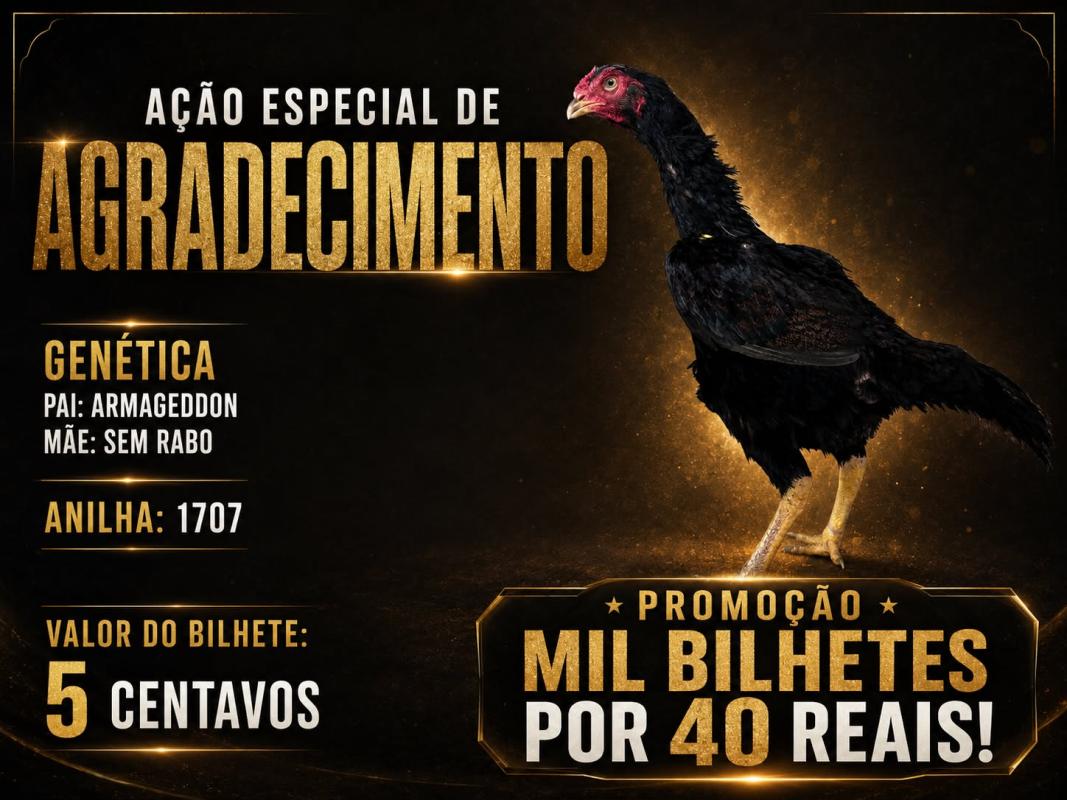 EDICAO ARMAGEDDOON