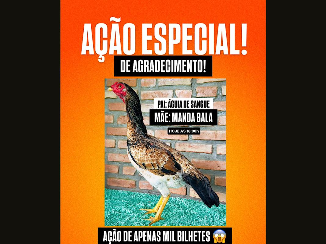 ACAO ESPECIAL AGRADECIMENTO