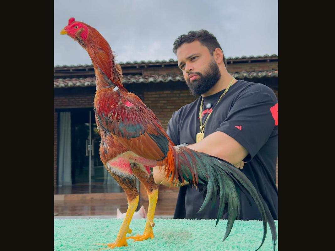 EDICAO SCORPION OU 20K