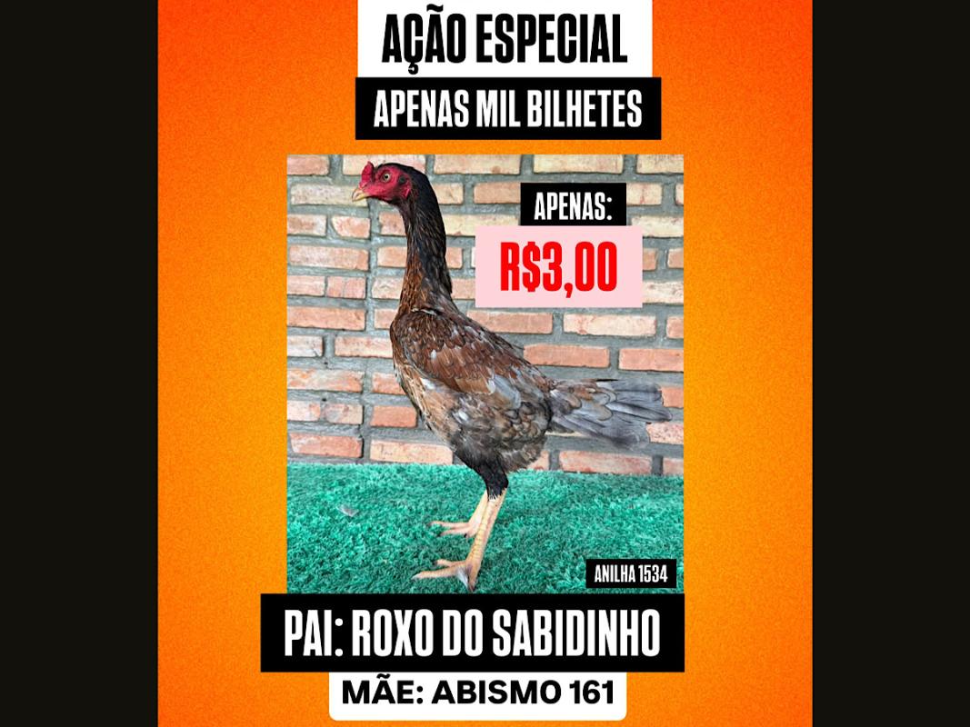 ACAO ESPECIAL AGRADECIMENTO 2