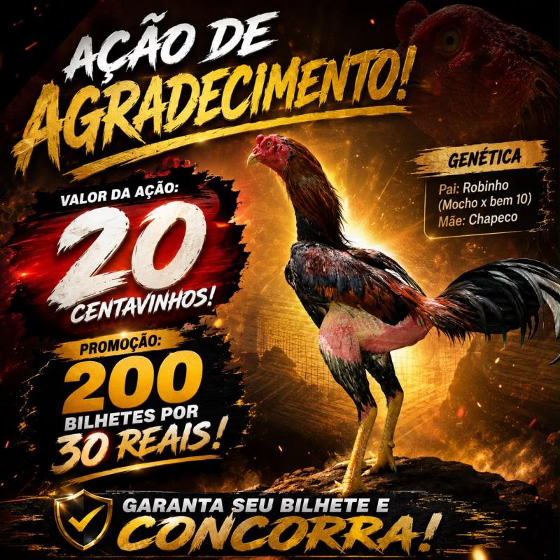 AGRADECIMENTO ESPECIALL